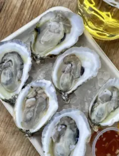 Oyster, Caviar, & Wine Tasting & Workshop