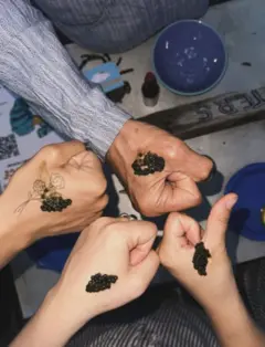 Caviar Tasting Workshop